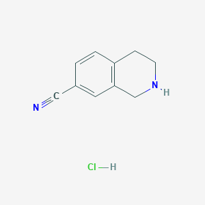 B1390862 1,2,3,4-Tetrahydroisoquinoline-7-carbonitrile hydrochloride CAS No. 200137-81-1