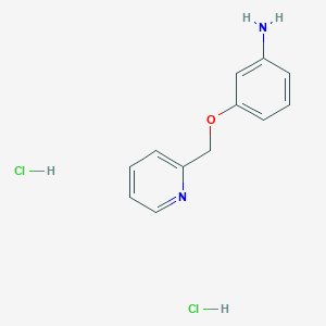 molecular formula C12H14Cl2N2O B1390877 3-(Pyridin-2-ylmethoxy)aniline dihydrochloride CAS No. 1170433-81-4