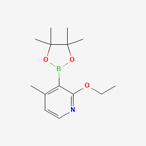 molecular formula C14H22BNO3 B13908779 2-Ethoxy-4-methyl-3-(4,4,5,5-tetramethyl-1,3,2-dioxaborolan-2-yl)pyridine 