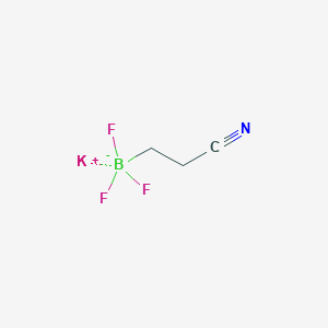 molecular formula C3H4BF3KN B1390885 Potassium 2-cyanoethyltrifluoroborate CAS No. 1159919-79-5