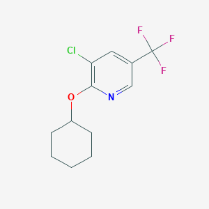 molecular formula C12H13ClF3NO B1390967 3-氯-2-(环己氧基)-5-(三氟甲基)吡啶 CAS No. 1216838-34-4