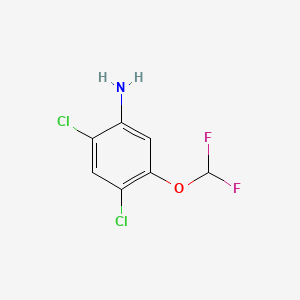 2,4-Dichloro-5-(difluoromethoxy)aniline