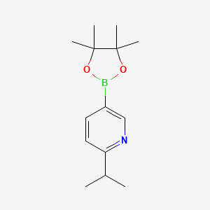 2-Propan-2-yl-5-(4,4,5,5-tetramethyl-1,3,2-dioxaborolan-2-yl)pyridine