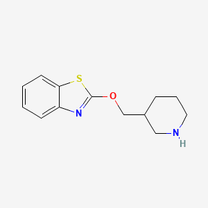 molecular formula C13H16N2OS B1391050 3-[(Benzothiazol-2-yl)oxymethyl]piperidine CAS No. 876148-06-0