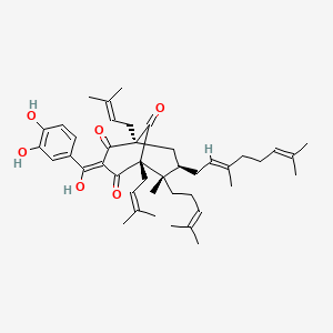 (1R,3Z,5S,6S,7R)-3-[(3,4-dihydroxyphenyl)-hydroxymethylidene]-7-[(2E)-3,7-dimethylocta-2,6-dienyl]-6-methyl-1,5-bis(3-methylbut-2-enyl)-6-(4-methylpent-3-enyl)bicyclo[3.3.1]nonane-2,4,9-trione