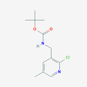 molecular formula C12H17ClN2O2 B1391156 Tert-butyl (2-chloro-5-methylpyridin-3-YL)-methylcarbamate CAS No. 1203499-18-6