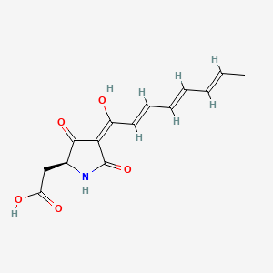 molecular formula C14H15NO5 B13911619 2-[(2S,4E)-4-[(2E,4E,6E)-1-hydroxyocta-2,4,6-trienylidene]-3,5-dioxopyrrolidin-2-yl]acetic acid 