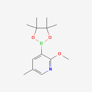 molecular formula C13H20BNO3 B1391166 2-Methoxy-5-methyl-3-(4,4,5,5-tetramethyl-1,3,2-dioxaborolan-2-yl)pyridine CAS No. 1083168-84-6