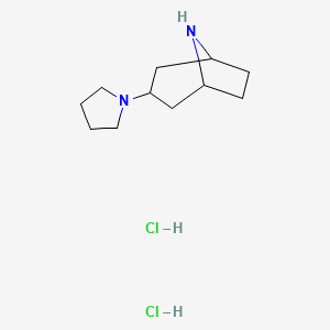 molecular formula C11H22Cl2N2 B1391186 3-(1-吡咯烷基)-8-氮杂双环[3.2.1]辛烷二盐酸盐 CAS No. 1185300-31-5