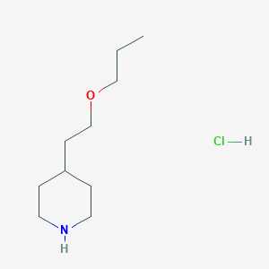 molecular formula C10H22ClNO B1391208 2-(4-Piperidinyl)ethyl propyl ether hydrochloride CAS No. 478804-67-0