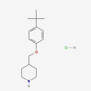 molecular formula C16H26ClNO B1391223 4-(叔丁基)苯基 4-哌啶基甲基醚盐酸盐 CAS No. 1185304-13-5