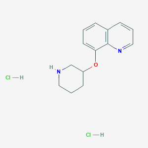 molecular formula C14H18Cl2N2O B1391226 8-(3-Piperidinyloxy)quinoline dihydrochloride CAS No. 1185301-55-6
