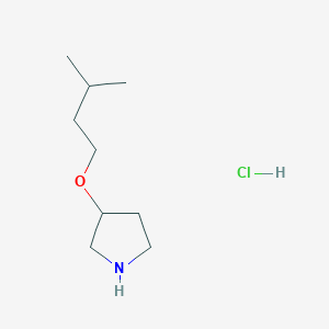 molecular formula C9H20ClNO B1391227 3-(Isopentyloxy)pyrrolidine hydrochloride CAS No. 1185301-63-6