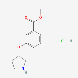 molecular formula C12H16ClNO3 B1391229 Methyl 3-(3-pyrrolidinyloxy)benzoate hydrochloride CAS No. 1185298-84-3