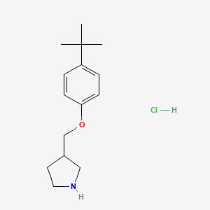 molecular formula C15H24ClNO B1391231 4-(tert-Butyl)phenyl 3-pyrrolidinylmethyl ether hydrochloride CAS No. 1185298-56-9