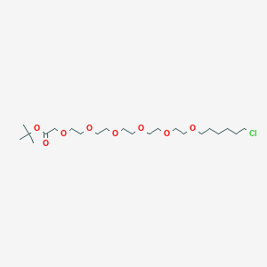 molecular formula C22H43ClO8 B13912400 3,6,9,12,15,18-Hexaoxatetracosanoic acid, 24-chloro-, 1,1-dimethylethyl ester 