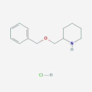 molecular formula C13H20ClNO B1391243 2-[(Benzyloxy)methyl]piperidine hydrochloride CAS No. 1185020-59-0