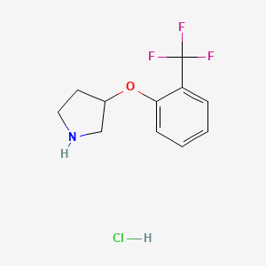 molecular formula C11H13ClF3NO B1391247 3-(2-(Trifluoromethyl)phenoxy)pyrrolidine hydrochloride CAS No. 1185301-92-1