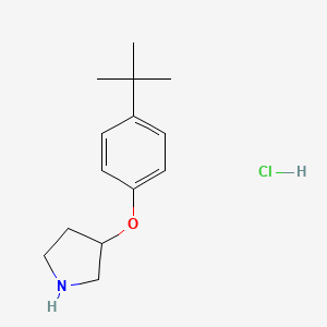 molecular formula C14H22ClNO B1391248 3-[4-(Tert-butyl)phenoxy]pyrrolidine hydrochloride CAS No. 1185297-35-1
