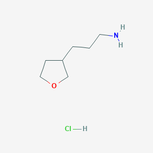 molecular formula C7H16ClNO B1391299 3-(Tetrahydro-furan-3-yl)-propylamine hydrochloride CAS No. 1185296-74-5