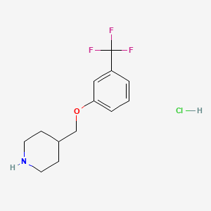 molecular formula C13H17ClF3NO B1391303 4-{[3-(Trifluoromethyl)phenoxy]methyl}piperidine hydrochloride CAS No. 1516938-12-7