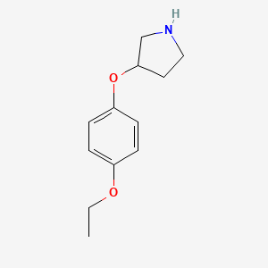 molecular formula C12H17NO2 B1391305 3-(4-Ethoxyphenoxy)pyrrolidine CAS No. 946715-47-5