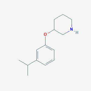 molecular formula C14H21NO B1391317 3-(3-异丙基苯氧基)哌啶 CAS No. 946714-41-6
