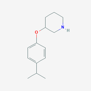 molecular formula C14H21NO B1391319 3-(4-异丙基苯氧基)哌啶 CAS No. 946726-03-0