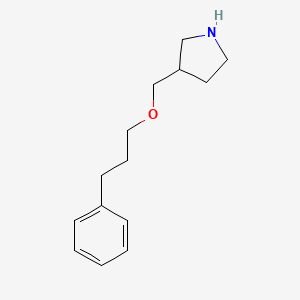molecular formula C14H21NO B1391324 3-[(3-苯基丙氧基)甲基]吡咯烷 CAS No. 946682-20-8
