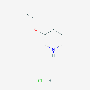 molecular formula C7H16ClNO B1391325 3-乙氧基哌啶盐酸盐 CAS No. 1159826-79-5