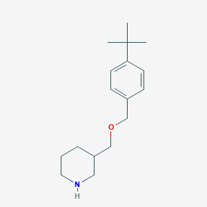 molecular formula C17H27NO B1391326 4-(叔丁基)苄基-3-哌啶基甲基醚 CAS No. 946665-44-7