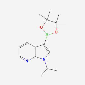 molecular formula C16H23BN2O2 B13913759 1-Isopropyl-3-(4,4,5,5-tetramethyl-1,3,2-dioxaborolan-2-yl)-1H-pyrrolo[2,3-b]pyridine 