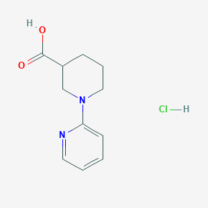 molecular formula C11H15ClN2O2 B1391385 1-(吡啶-2-基)哌啶-3-羧酸盐酸盐 CAS No. 1193388-73-6