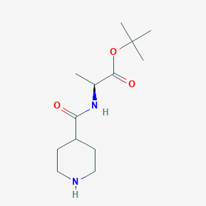 molecular formula C13H24N2O3 B1391391 (S)-叔丁基 2-(哌啶-4-甲酰胺基)丙酸酯 CAS No. 845907-19-9