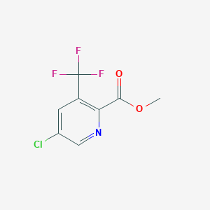 molecular formula C8H5ClF3NO2 B1391446 Methyl 5-chloro-3-(trifluoromethyl)picolinate CAS No. 1214353-28-2