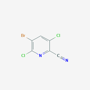 molecular formula C6HBrCl2N2 B13914496 5-Bromo-3,6-dichloropicolinonitrile 