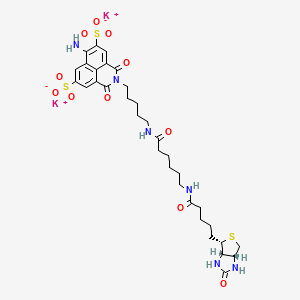 molecular formula C33H42K2N6O11S3 B13914502 dipotassium;2-[5-[6-[5-[(3aS,4S,6aR)-2-oxo-1,3,3a,4,6,6a-hexahydrothieno[3,4-d]imidazol-4-yl]pentanoylamino]hexanoylamino]pentyl]-6-amino-1,3-dioxobenzo[de]isoquinoline-5,8-disulfonate 