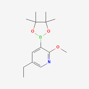 molecular formula C14H22BNO3 B13914944 5-Ethyl-2-methoxy-3-(4,4,5,5-tetramethyl-1,3,2-dioxaborolan-2-yl)pyridine 