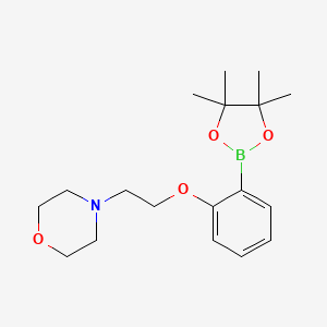 4-(2-(2-(4,4,5,5-Tetramethyl-1,3,2-dioxaborolan-2-yl)phenoxy)ethyl)morpholine