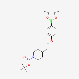 B1391588 tert-Butyl 4-{2-[4-(4,4,5,5-Tetramethyl[1,3,2]dioxaborolan-2-yl)phenoxy]ethyl}piperidine-1-carboxylate CAS No. 1310405-24-3
