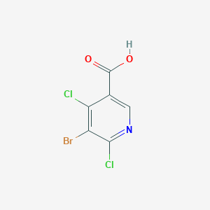 molecular formula C6H2BrCl2NO2 B1391592 5-溴-4,6-二氯烟酸 CAS No. 1216474-94-0