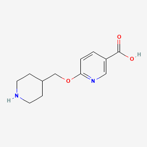 molecular formula C12H16N2O3 B1391611 6-(哌啶-4-基甲氧基)烟酸 CAS No. 1216644-32-4