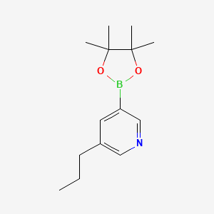 molecular formula C14H22BNO2 B13916673 3-Propyl-5-(4,4,5,5-tetramethyl-1,3,2-dioxaborolan-2-yl)pyridine 