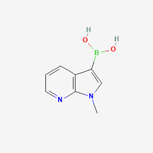 molecular formula C8H9BN2O2 B1391832 (1-甲基-1H-吡咯[2,3-B]吡啶-3-基)硼酸 CAS No. 521985-24-0
