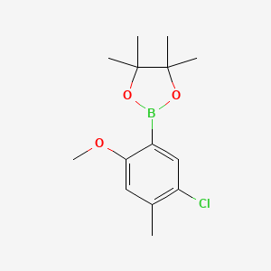 molecular formula C14H20BClO3 B13919135 2-(5-Chloro-2-methoxy-4-methylphenyl)-4,4,5,5-tetramethyl-1,3,2-dioxaborolane 