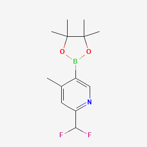 molecular formula C13H18BF2NO2 B13919235 (6-(Difluoromethyl)-4-methylpyridin-3-YL)boronic acid pinacol ester 