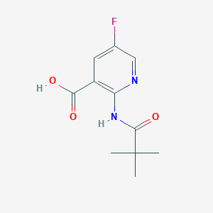 B1391925 5-Fluoro-2-pivalamidonicotinic acid CAS No. 1228666-46-3