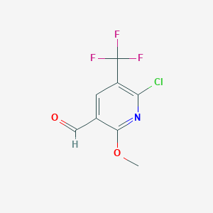 molecular formula C8H5ClF3NO2 B13919479 6-Chloro-2-methoxy-5-(trifluoromethyl)nicotinaldehyde 