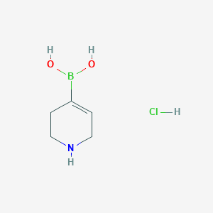 molecular formula C5H11BClNO2 B13919669 1,2,3,6-Tetrahydropyridine-4-YL-boronic acid hydrochloride 