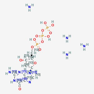 molecular formula C10H28N9O13P3 B13919991 azane;[[(2R,3S,5R)-5-(2-(15N)azanyl-6-oxo-1H-purin-9-yl)-3-hydroxy(2,3,4,5-13C4)oxolan-2-yl](113C)methoxy-hydroxyphosphoryl] phosphono hydrogen phosphate 